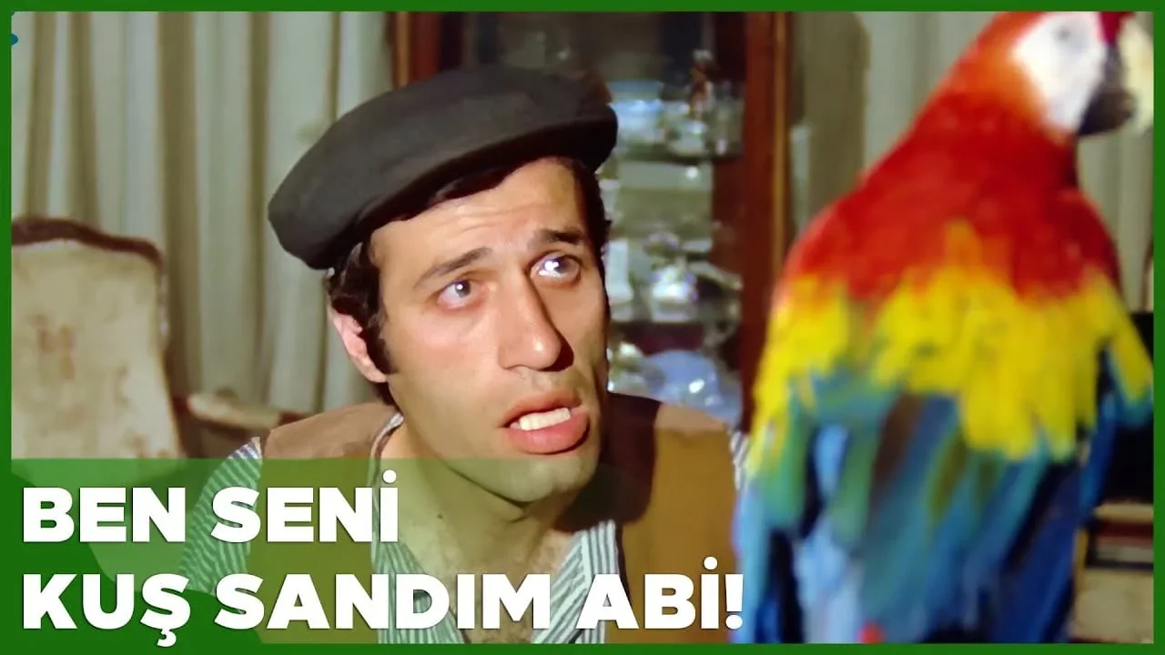"Eee, Konuşuyor Bu!" Kemal Sunal'ın Papağanından Yapay Zekâya