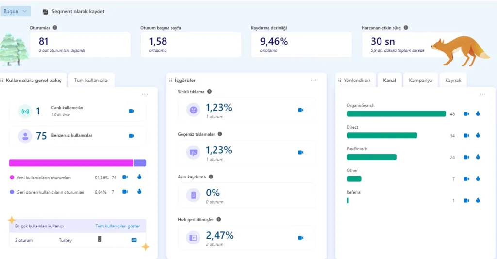 Microsoft clarity ile analizler yapın ve sitenizin değerlerini ölçün